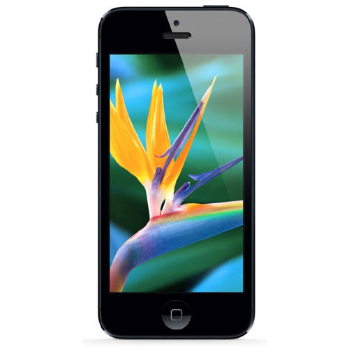 Refurbished Apple iPhone 5 MD654LL/A Black 3G LTE Smartphone 4" 16GB Verizon + GSM Unlocked - Grade A - worldtradesolution.com
 - 2
